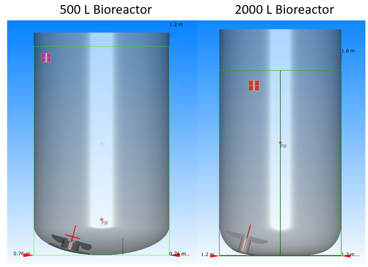 ../_images/bioReactorScales.PNG